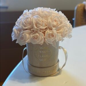 Venus et fleur Mini Le Plein